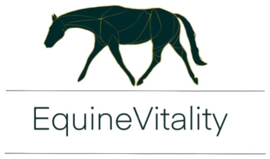 EquineVitality logo Fizjoterapia koni transparent EquineVitality logo Fizjoterapia koni transparent